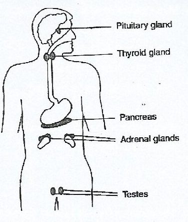Figure from the exam paper