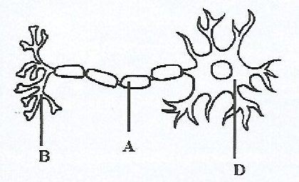 Figure from the exam paper