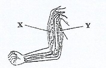 Figure from the exam paper