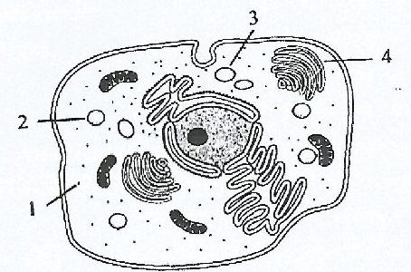 Figure from the exam paper