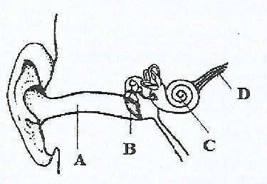 Figure from the exam paper