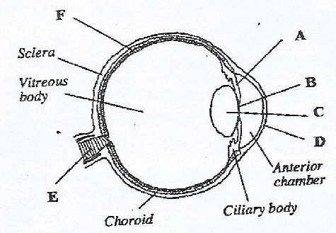 Figure from the exam paper