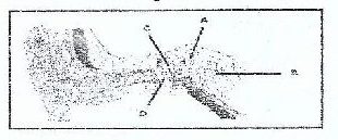 Figure from the exam paper