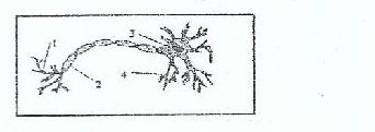 Figure from the exam paper