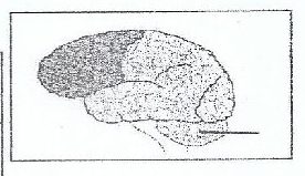Figure from the exam paper