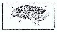 Figure from the exam paper