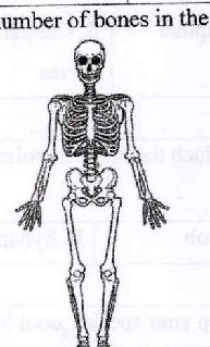 Figure from the exam paper