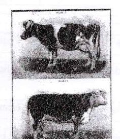 Figure from the exam paper
