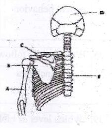 Figure from the exam paper