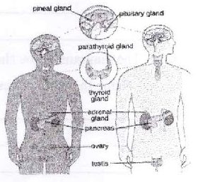 Figure from the exam paper
