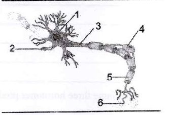 Figure from the exam paper