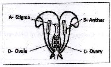 Figure from the exam paper