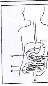 Figure from the exam paper
