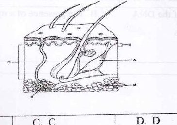 Figure from the exam paper