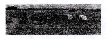 Figure from the exam paper