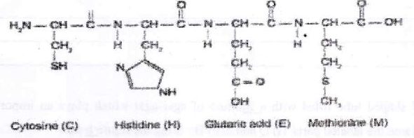 Figure from the exam paper