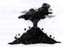 Figure from the exam paper