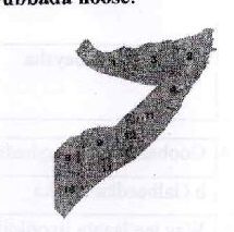 Figure from the exam paper